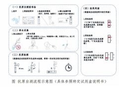 最快20分钟出结果 抗原检测能替代核酸检测吗？