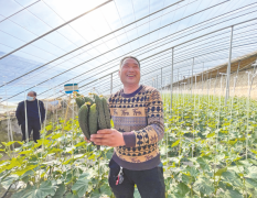 博士工作站成致富“加油站”