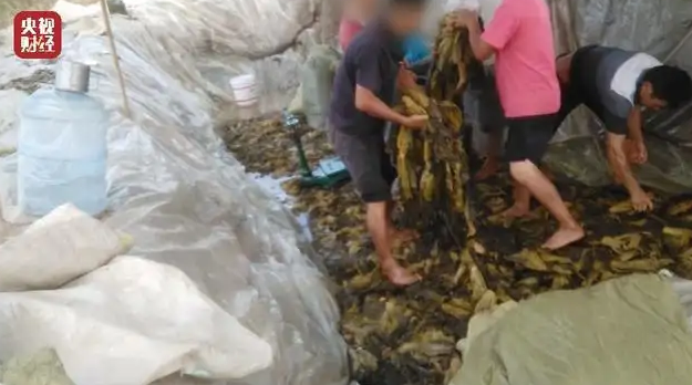 市场监管总局派组督促严查“土坑酸菜”等违法行为