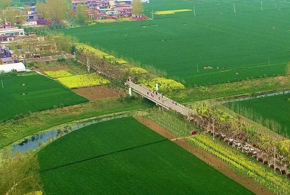 建设现代农业强市！今年驻马店“三农”工作怎么干