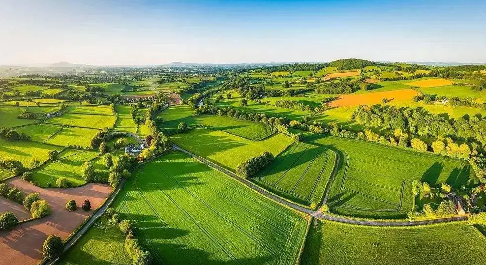 扛稳粮食安全重任！去年驻马店“三农”成就不平凡