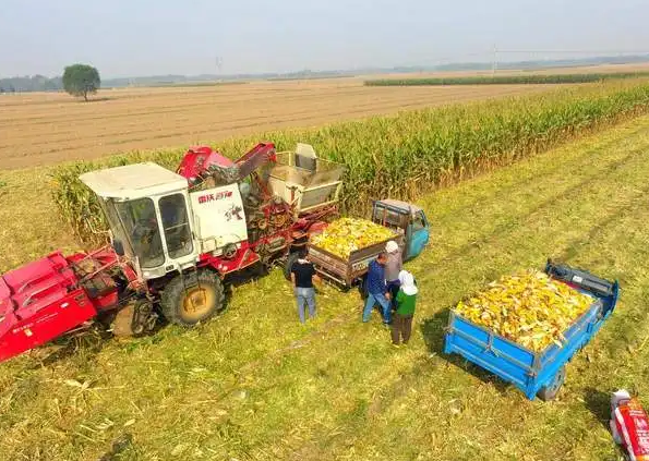 中央下达河南省实际种粮农民一次性补贴资金18.7亿