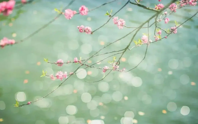 1647741590368494.png 微信截图_20220320095856.png