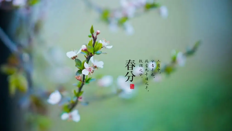 1647741578425560.png 1.png