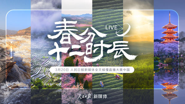 慢直播｜春分十二时辰