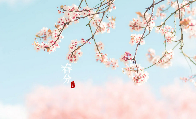 今日春分｜春风如贵客 一到便繁华