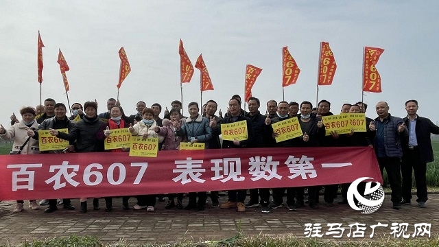 当日预订三万亩地！六丰农业百农607观摩订货会火爆收官