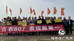 当日预订三万亩地！六丰农业百农607观摩订货会火爆收官