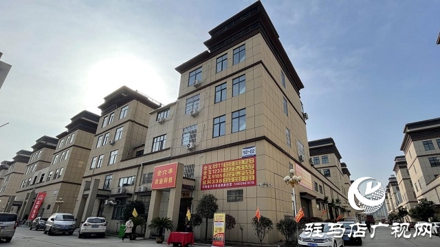 当日预订三万亩地！六丰农业百农607观摩订货会火爆收官