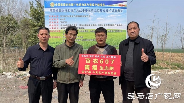 当日预订三万亩地！六丰农业百农607观摩订货会火爆收官