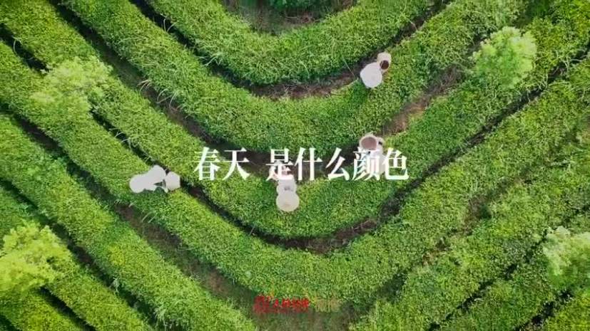 用传统色彩打开春天，太惊艳！