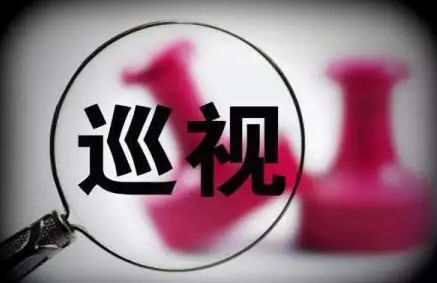 十九届中央第九轮巡视对象公布