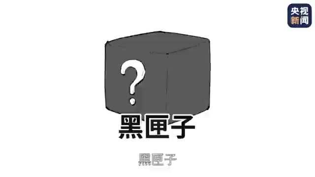 “黑匣子”是什么？为何对事故调查如此重要？
