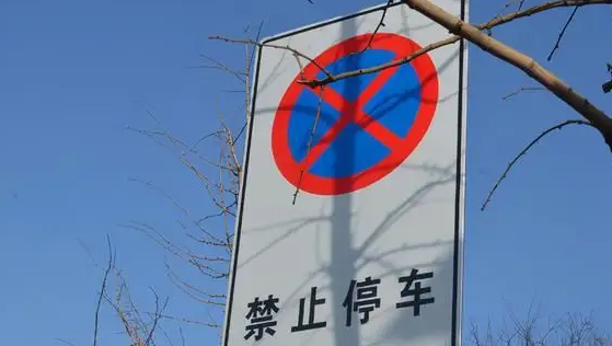 重磅消息！4月1日起，市区33条道路禁止机动车停放或临时停车