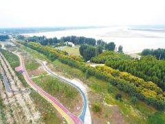 今年河南将造林210万亩 年底前黄河干流生态廊道全线贯通