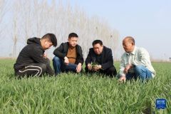 一年之计在于春丨解决农民关心事——各地各部门多措并举推动农资稳价保供