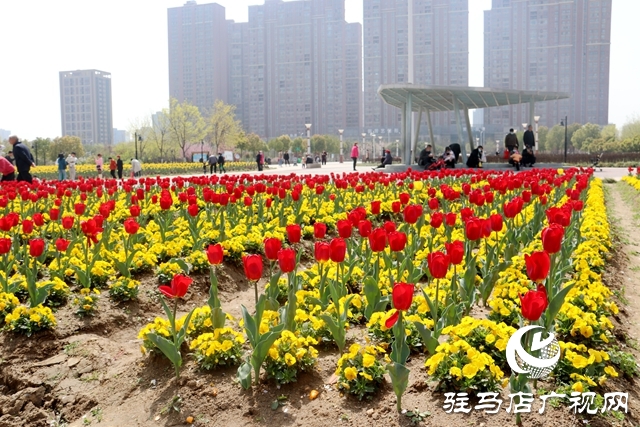 微信图片_20220328155340