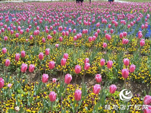 微信图片_20220328160435.jpg