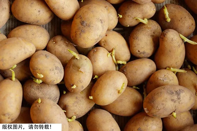 微信图片_20220331152419.jpg