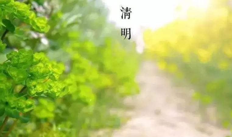 清明假期临近，出行、游览、祭扫最新要求来了