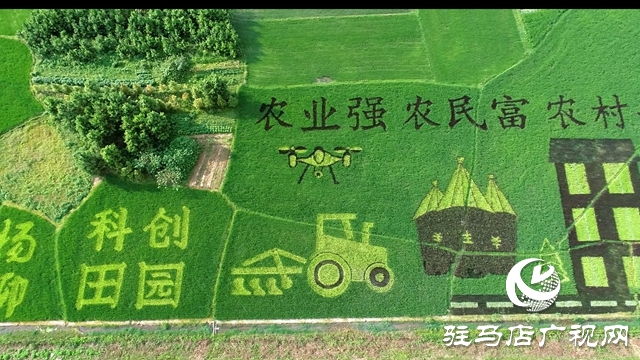 2021年全国文明城市年度测评结果公布