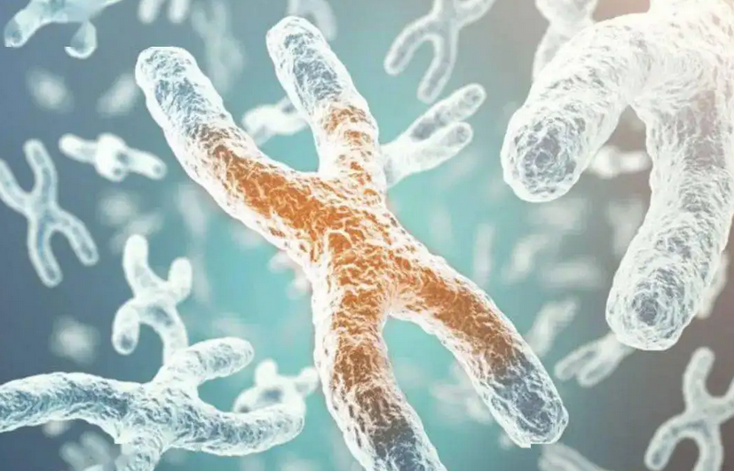 联合国安理会举行生物安全问题会议 中国代表：坚决反对研发、拥有或使用生物武器