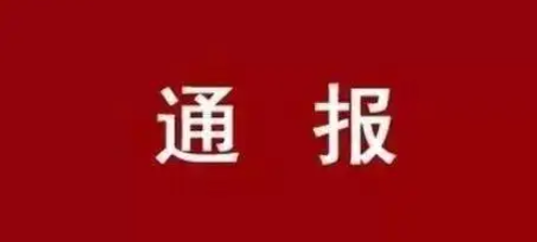 实地暗访！驻马店8县4区这些地方被通报！