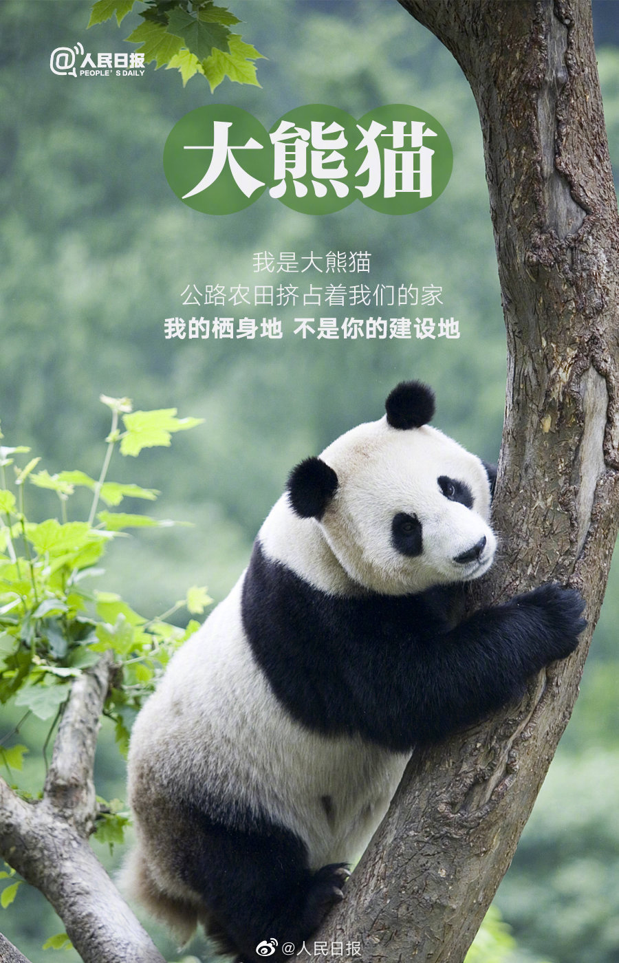微信图片_20220408095451.jpg
