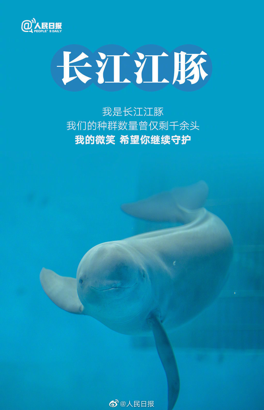 微信图片_20220408095500.jpg