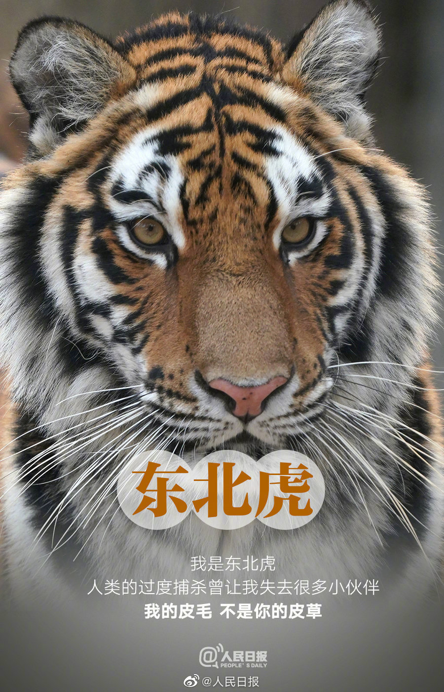 微信图片_20220408095453.jpg
