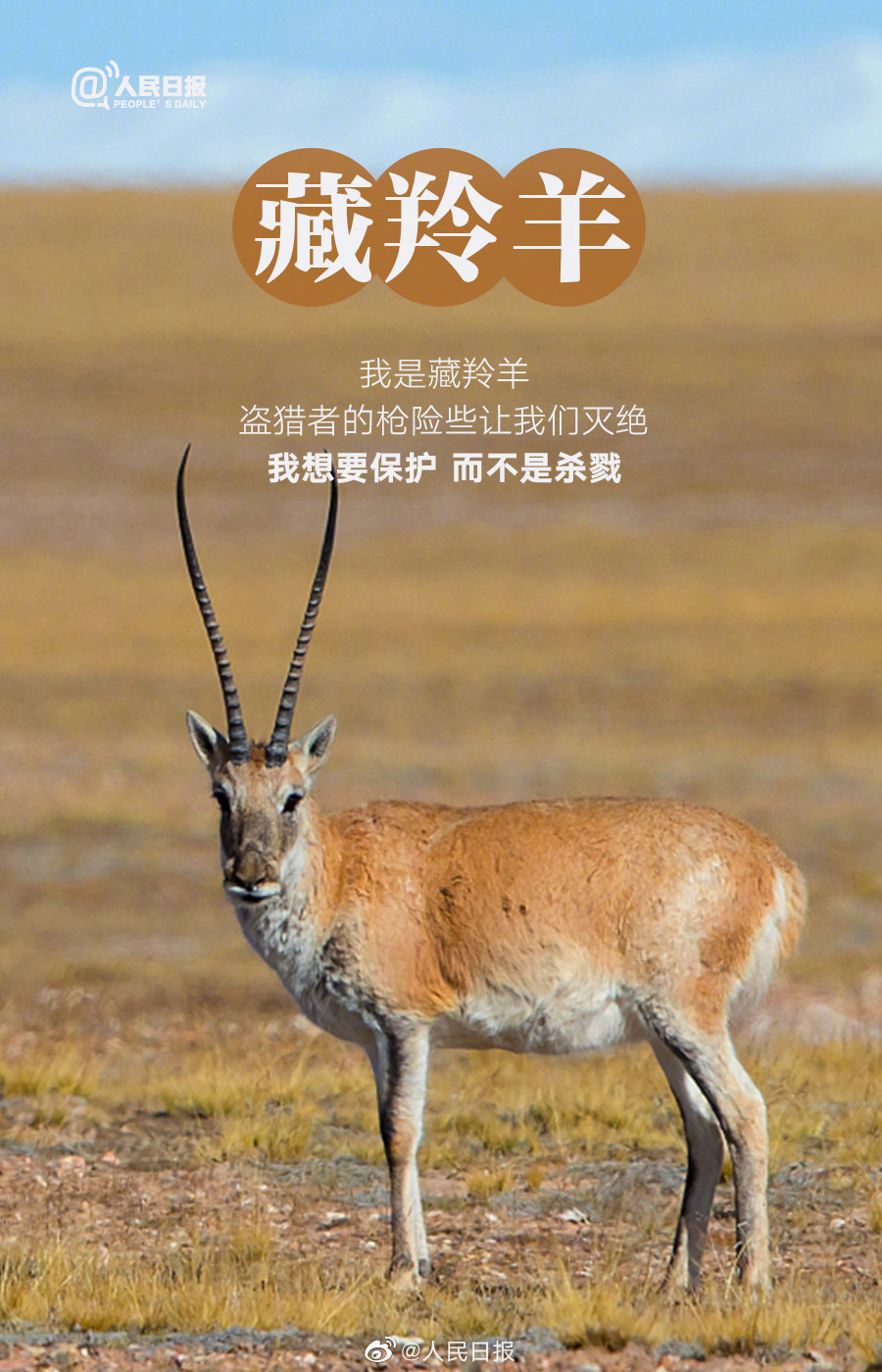微信图片_20220408095456.jpg