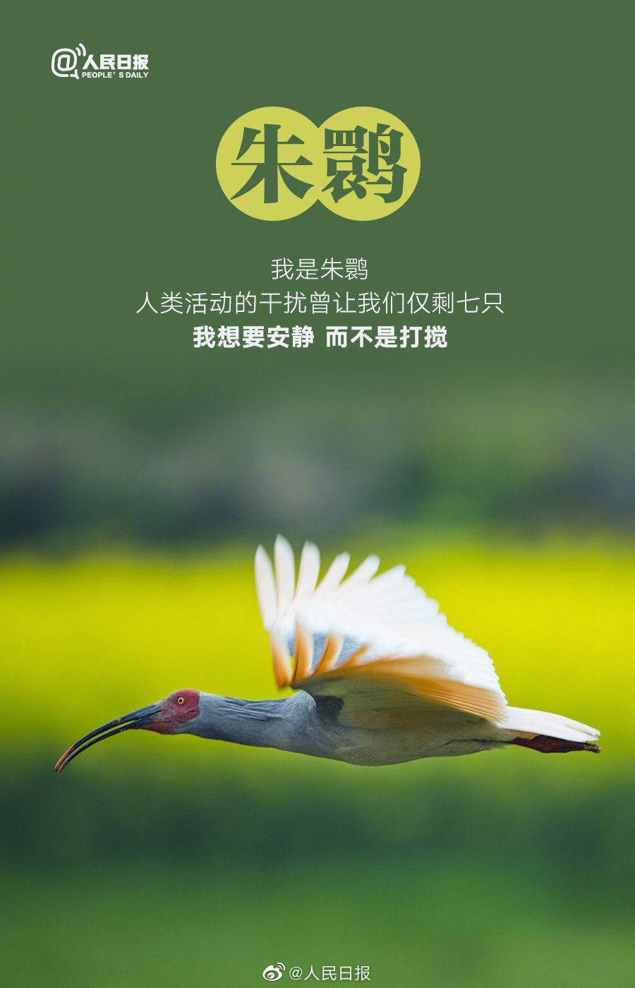 微信图片_20220408095458.jpg