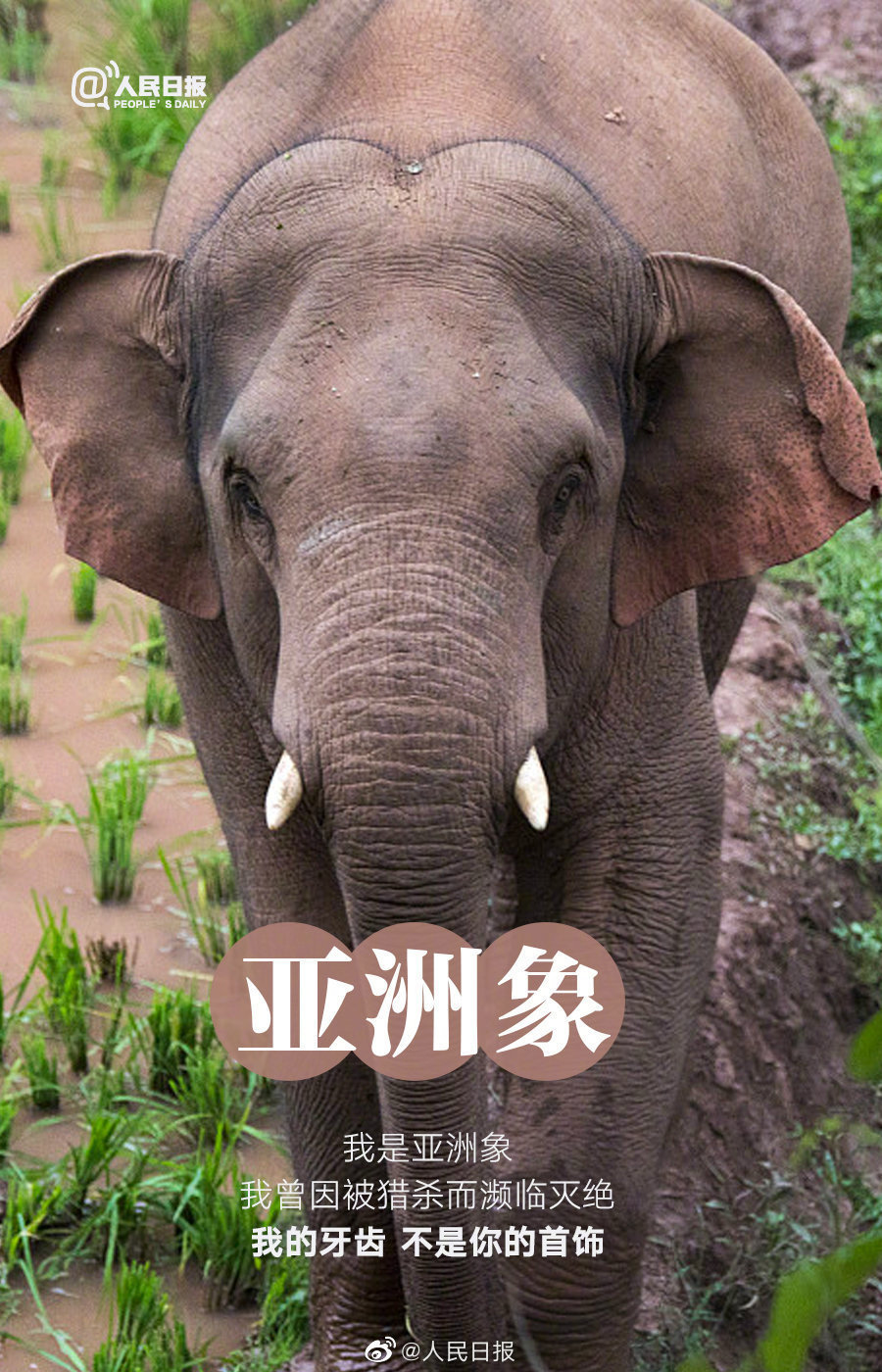 微信图片_20220408095505.jpg