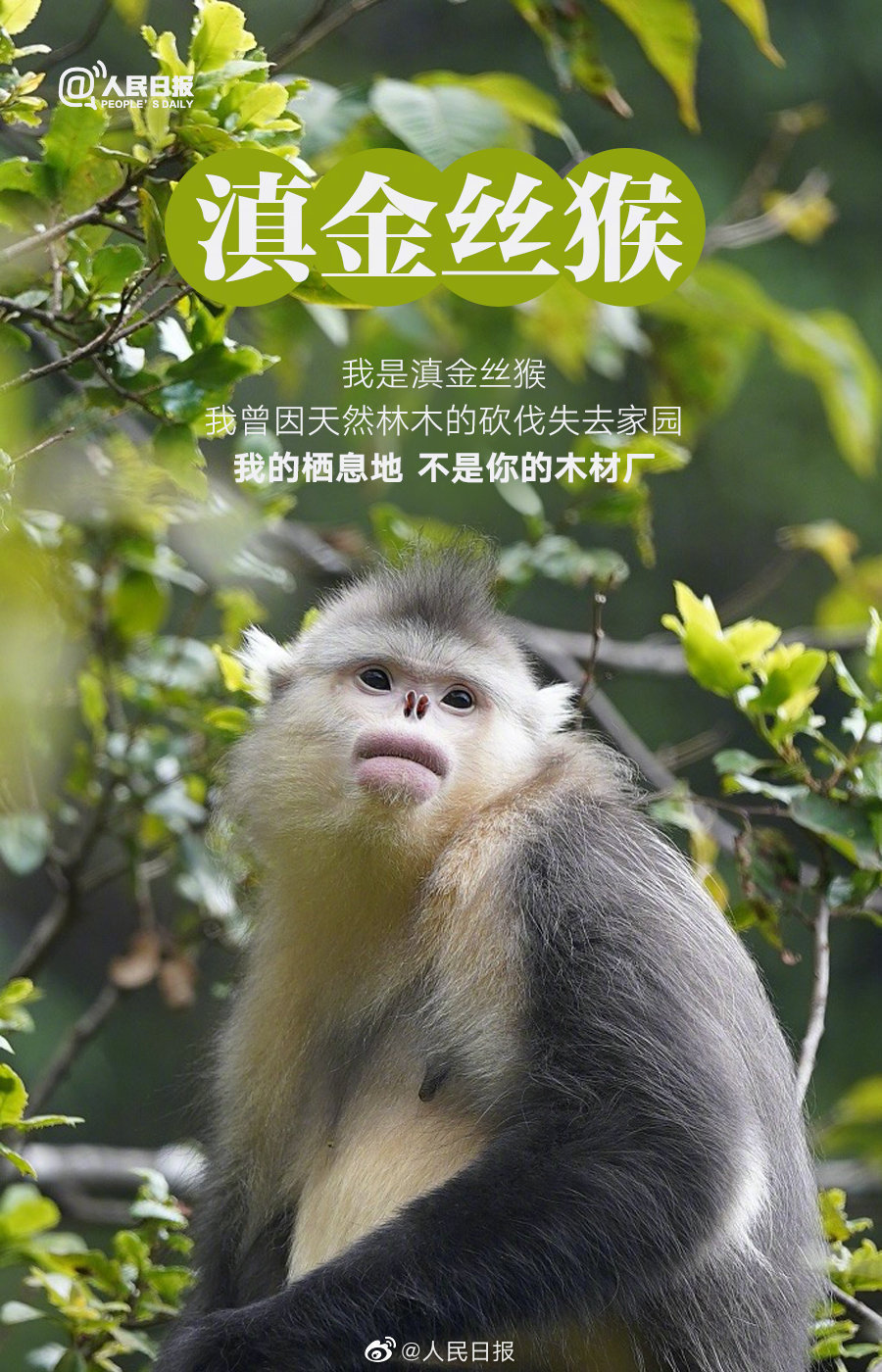 微信图片_20220408095503.jpg