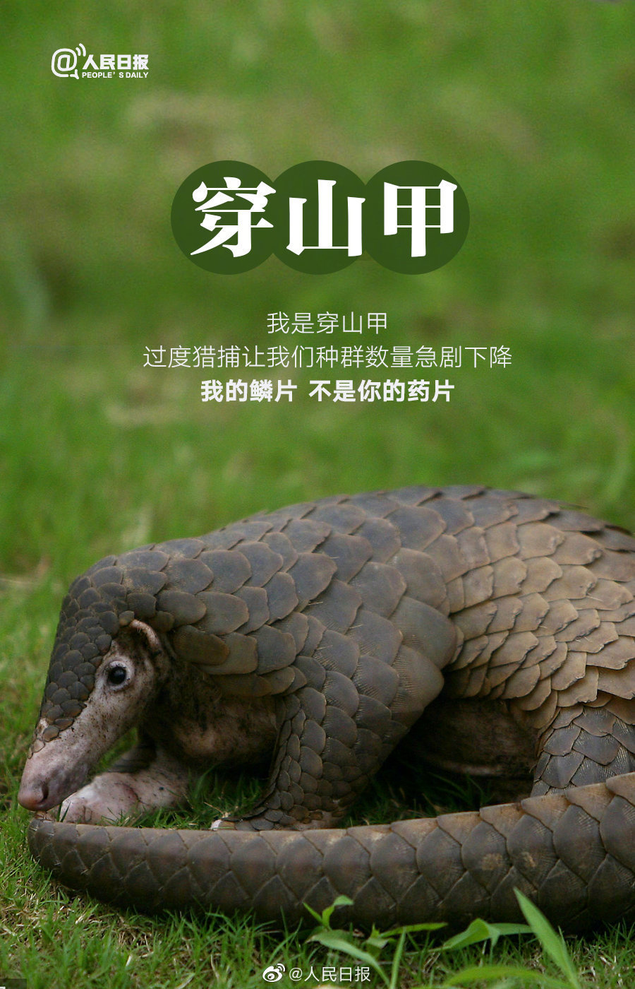 微信图片_20220408095507.jpg