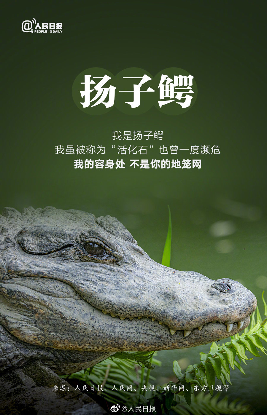 微信图片_20220408095509.jpg