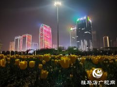 驻马店：璀璨灯光扮靓城市夜景