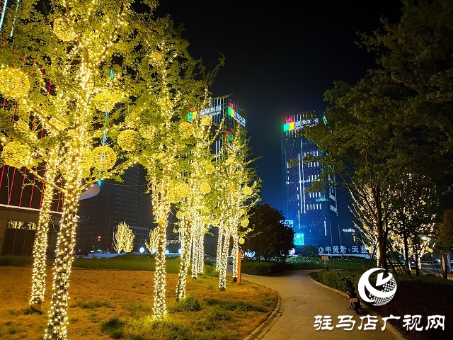 驻马店：璀璨灯光扮靓城市夜景