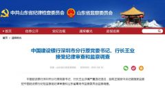 中国建设银行深圳分行原党委书记、行长王业被查