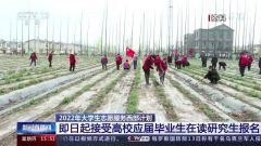 即日起接受报名 多部门部署2022年大学生志愿服务西部计划工作