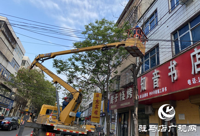 清理枯树解民忧 热线尽责安民心