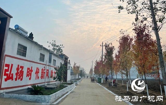 平舆县玉皇庙乡:人居环境“四强化”铺开美丽乡村“新画卷”