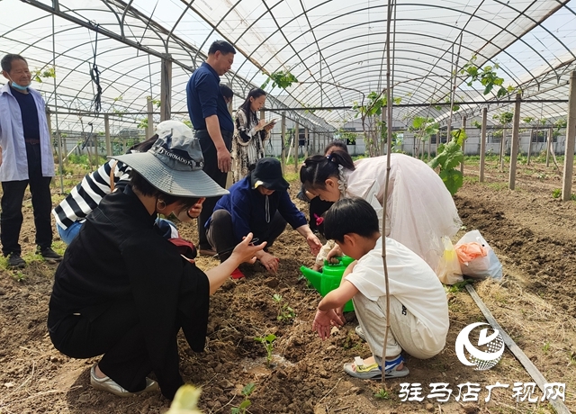 遂平杰美庄园：认养早春西瓜 见证小生命成长