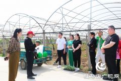 遂平杰美庄园：认养早春西瓜 见证小生命成长