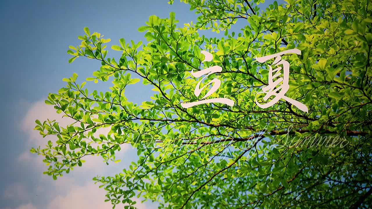 每一张都可以当壁纸！手书24节气有多美