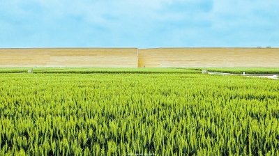 p33_b.jpg