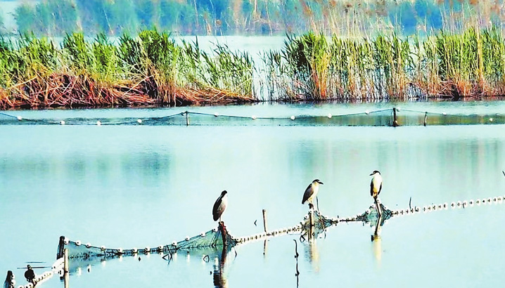 春渐远，夏将至