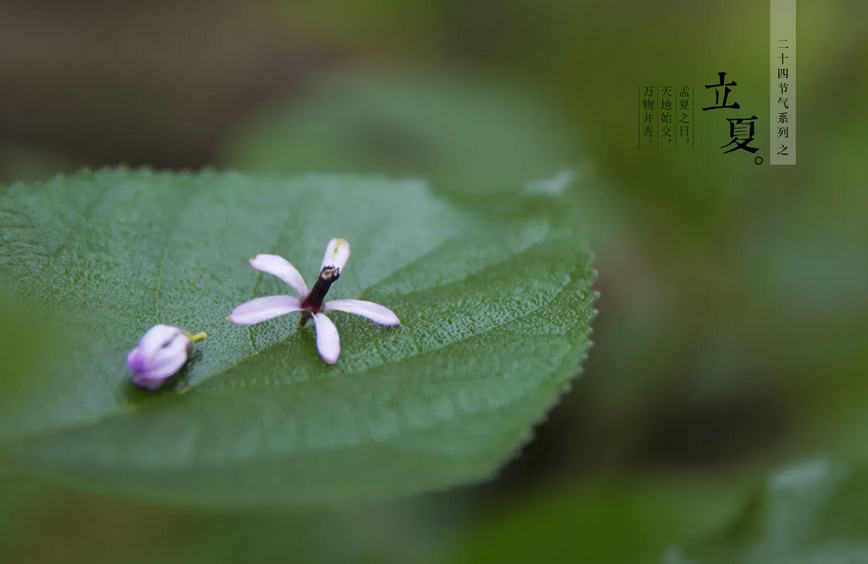微信截图_20220505095407.png