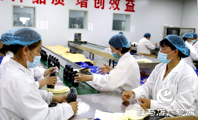 确山石滚河镇:小药草铺就乡村振兴“富民路”