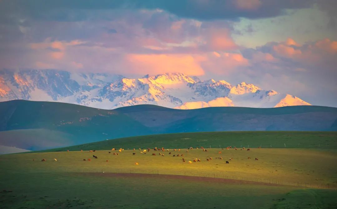 你有新的壁纸可以换了！